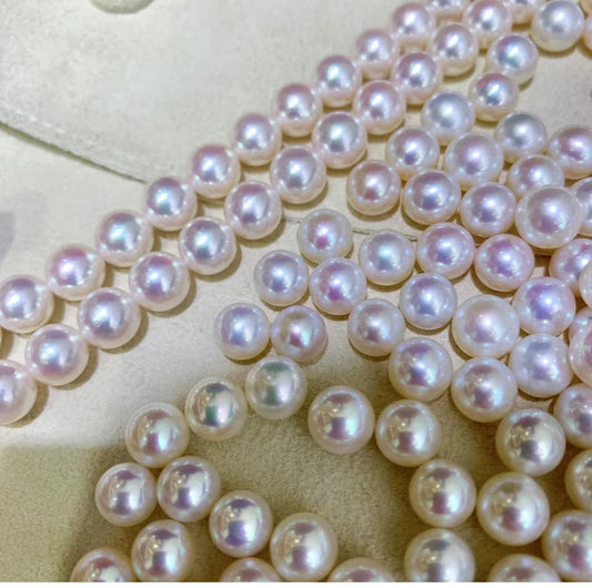 A40.【Live】Aurora Freshwater pearl oysters (white,pink)