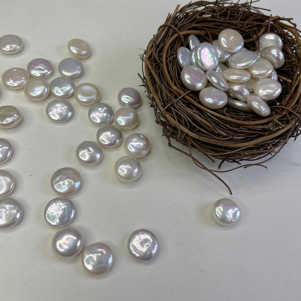 A46.【Live】 Button Pearls Oyster(colourful or white)